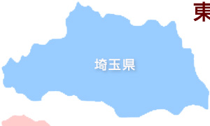 弁当配達 埼玉